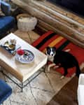 Blue sectional sofa with patterned pillows, wooden coffee table, and a dog on a striped bed in a cozy living room.