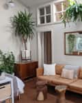 Living room with tan leather sofa, wooden stools, large mirror, and various potted plants, including a tall dracaena.