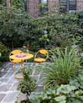 Small garden patio with yellow table and chairs, surrounded by lush greenery and a white fence.