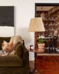 Olive green sofa with a small dog, abstract art, and a side table with a lamp in a cozy living room.