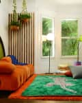 Orange sofa with green and orange rug, hanging plants, and a floor lamp in a bright room with large windows and a framed smiley face.