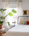Bedroom with a black metal bed, white bedding, colorful pillows, large plant, and two framed pictures on the wall.