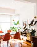 Dining room with orange chairs, white table, large windows, and various potted plants.