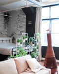 Loft bedroom with a bed, plant shelves, large windows, and a hanging plant. Cozy seating area with a sofa and armchair.