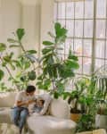 Spacious living room with large windows, lush green plants, and a person feeding a baby on a curved white sofa.