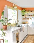 Bright airy kitchen with orange and white tiled walls, wood open shelves with glasses, dishes, white cabinets, marble or marble look gray and white checkered floor, plants and colorful decorative art and objects