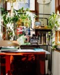 sunny workspace by window with lots of plants, books