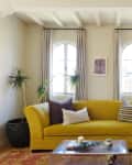 Potted house plant sits next to cheery yellow sofa in front of living room windows dressed with full length curtains in studio apartment