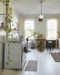 Bright kitchen with white cabinets, hanging plants, a wooden table, and a white fridge.