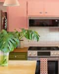 Pink and green kitchen with wooden countertops, a gas stove, and a large monstera plant in a glass vase.