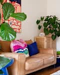 Large house plant in terra cotta planter sits on top of wicker storage unit in sitting room with tan leather loveseat.