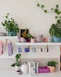 Various potted house plants top open shelves in kitchen filled with colorful ceramic dish ware. Patterned pot holders and coffee mugs hang from hooks beneath open shelves.