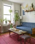 Blue sofa in Brooklyn living room with open shelving above sofa.