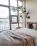 A bed next to a wall of windows with modern headboard and plants.