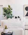 white living room with white sofa, black, neutral and white decor, and lots of curved edge furniture