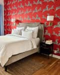white bedroom with red zebra wallpaper accent wall and light blue curtains