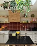 Kitchen with skylight and plants and dark rust backsplash tiles