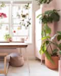 Writing deck in front of sunny, plant filled window.
