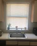 Kitchen countertop with a sink, toaster oven, pet food bowls, and potted plants by a window with blinds.