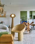 Spacious living area featuring a curved sofa, woven chairs, a unique floor lamp, and a playful cat.
