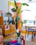 Large plant and colorful chairs in dining area