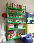Colorful living room with a green bookshelf, plush toys, a yellow cabinet, and a blue pet bed.