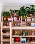 Wooden bookshelf filled with colorful books, vintage cameras, plants, and decorative items, creating a cozy reading space.