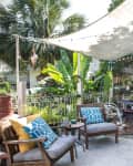 Shaded patio with tropical plants, wooden chairs with blue cushions, and a metal table set under a canopy.
