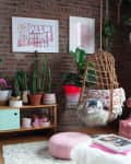 Cozy living room with pink velvet sofa, hanging chair, plants, and a fluffy white cat.
