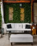 Outdoor patio with white sofa, black cushions, wooden coffee table, and lush green ivy wall under a wooden pergola.