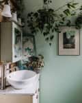 A pale green bathroom with lots of plants