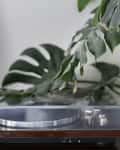 Turntable with a clear cover surrounded by large green monstera leaves.