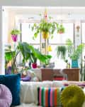 Living room with colorful cushions, lush plants, and a wooden desk by the window, creating a vibrant, cozy atmosphere.