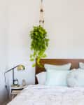 A white bedroom with vertical beadboard and planter hung from the ceiling