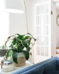Living room with blue sofa, large plant, white French doors, and wooden staircase with potted plant on side table.