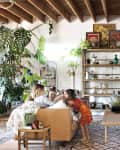Cozy living room with brown leather sofas, lush plants, wooden shelves, and three people laughing together.