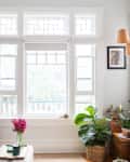 Living room with blue sofa, colorful cushions, large window, potted plants, and framed artwork on light walls.