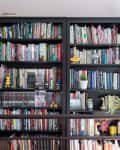 Two black bookshelves filled with colorful books, small plants, and decorative figurines in a bright room.