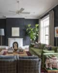 Living room with dark walls, green sofa, fireplace, large plant, and bookshelves.