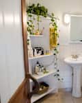 Bathroom with pedestal sink, toilet, and corner shelves with toiletries and a hanging plant.
