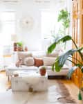 Cozy living room with white sofa, decorative pillows, plants, and a small dog on the couch.