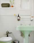 Small bathroom with mint green sink, white toilet, glass shelf with soap dispenser, and potted plant on wall shelf.