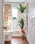 Three plants are displayed in various ways in a small bathroom with white subway tile.