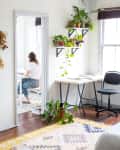 Home office with desk, chair, and potted plants on shelves; person working in adjacent room.