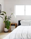Bedroom with a black and white grid-patterned bedspread, large plant, and wooden nightstands under a window.