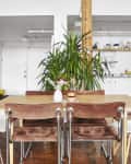 Dining area with wooden table, brown and white chairs, large plant, and kitchen in background with open shelving and appliances.