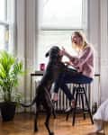 Woman sitting on a stool in a bright room, playing with a large black dog near a potted plant.