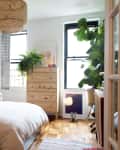 Cozy bedroom with a wooden dresser, potted plants, a bed with navy pillows, and a woven pendant light.