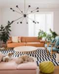 Modern living room with tan sofa, pink chaise, blue chairs, black and white rug, plants, and two dogs lounging.