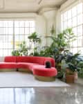 Loft living room with red sectional sofa, large windows, numerous potted plants, and a cat on the sofa.